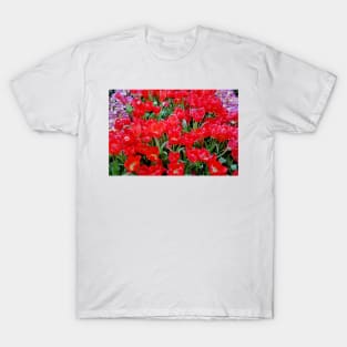 Japanese Spring Study 19 T-Shirt